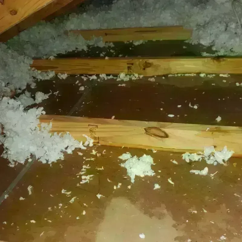 Attic Water Damage in Black Mountain, NC