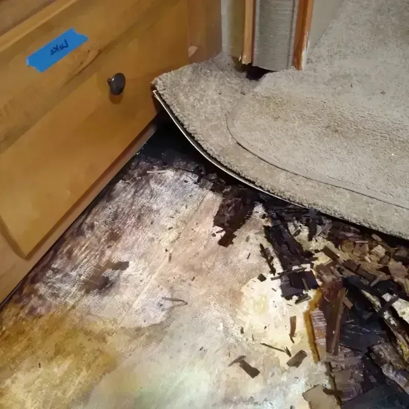 Wood Floor Water Damage in Black Mountain, NC